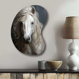 White Horse Subtle Whispers - Asymmetric Metal Wall Art