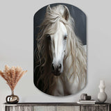 White Horse Subtle Whispers - Asymmetric Metal Wall Art