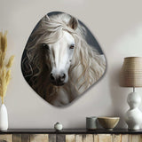 White Horse Subtle Whispers - Asymmetric Metal Wall Art