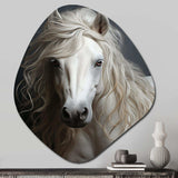 White Horse Subtle Whispers - Asymmetric Metal Wall Art