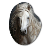 White Horse Subtle Whispers - Asymmetric Metal Wall Art