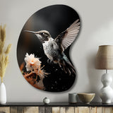 Black White Hummingbird Energetic - Asymmetric Metal Wall Art