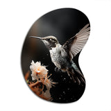 Black White Hummingbird Energetic - Asymmetric Metal Wall Art