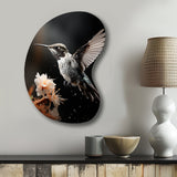 Black White Hummingbird Energetic - Asymmetric Metal Wall Art