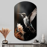 Black White Hummingbird Energetic - Asymmetric Metal Wall Art