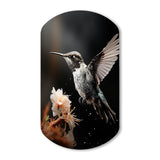 Black White Hummingbird Energetic - Asymmetric Metal Wall Art