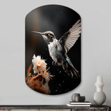 Black White Hummingbird Energetic - Asymmetric Metal Wall Art