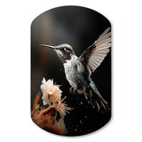 Black White Hummingbird Energetic - Asymmetric Metal Wall Art