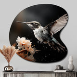 Black White Hummingbird Energetic - Asymmetric Metal Wall Art