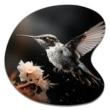 Black White Hummingbird Energetic - Asymmetric Metal Wall Art