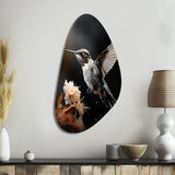 Black White Hummingbird Energetic - Asymmetric Metal Wall Art