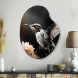 Black White Hummingbird Energetic - Asymmetric Metal Wall Art