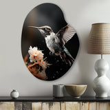 Black White Hummingbird Energetic - Asymmetric Metal Wall Art