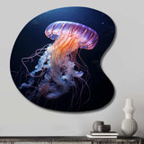 Ethereal Glow Jellyfish II - Asymmetric Metal Wall Art