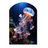 Jellyfish Luminescent Beauty II - Asymmetric Metal Wall Art