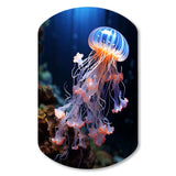 Jellyfish Luminescent Beauty II - Asymmetric Metal Wall Art