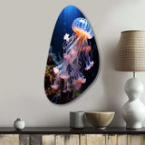 Jellyfish Luminescent Beauty II - Asymmetric Metal Wall Art