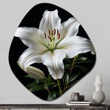 Black White Lily Exquisite I - Asymmetric Metal Wall Art