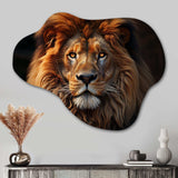 Lion Portrait - Asymmetric Metal Wall Art