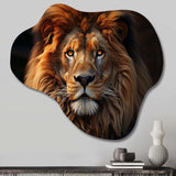 Lion Portrait - Asymmetric Metal Wall Art