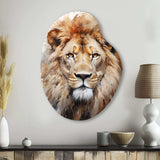 Lion Portrait Photography - Asymmetric Metal Wall Art