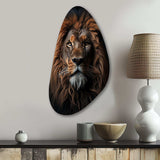 Lion Regal King Portrait - Asymmetric Metal Wall Art