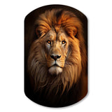 Lion Regal Majesty Lion - Asymmetric Metal Wall Art