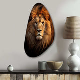 Lion Regal Majesty Lion - Asymmetric Metal Wall Art