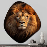 Lion Regal Majesty Lion - Asymmetric Metal Wall Art