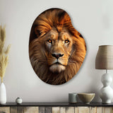 Lion Regal Majesty Lion - Asymmetric Metal Wall Art