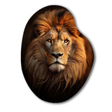 Lion Regal Majesty Lion - Asymmetric Metal Wall Art