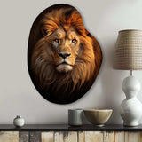 Lion Regal Majesty Lion - Asymmetric Metal Wall Art