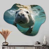 Turquoise Grey Manatee Portrait - Asymmetric Metal Wall Art