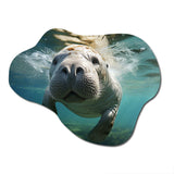 Turquoise Grey Manatee Portrait - Asymmetric Metal Wall Art