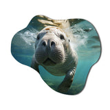 Turquoise Grey Manatee Portrait - Asymmetric Metal Wall Art