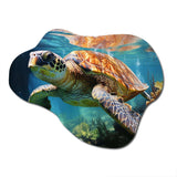 Green Blue Marine Animals Turtle Encounter V - Asymmetric Metal Wall Art