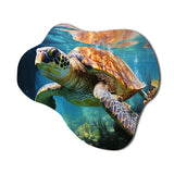 Green Blue Marine Animals Turtle Encounter V - Asymmetric Metal Wall Art