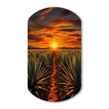 Orange Green Mexican Art Tequila Sunrise - Asymmetric Metal Wall Art