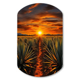 Orange Green Mexican Art Tequila Sunrise - Asymmetric Metal Wall Art