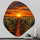 Orange Green Mexican Art Tequila Sunrise - Asymmetric Metal Wall Art