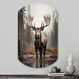 Brown Moose Monochrome Sands - Asymmetric Metal Wall Art