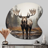 Brown Moose Monochrome Sands - Asymmetric Metal Wall Art