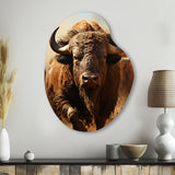 Native Art Buffalo Thunder - Asymmetric Metal Wall Art