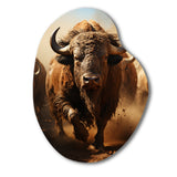 Native Art Buffalo Thunder - Asymmetric Metal Wall Art