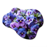 Purple Pansies Field Vibrant - Asymmetric Metal Wall Art