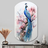 Blue Pink Peacock Watercolor I - Asymmetric Metal Wall Art