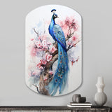 Blue Pink Peacock Watercolor I - Asymmetric Metal Wall Art