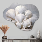 Monochromatic White Seashells - Asymmetric Metal Wall Art