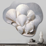 Monochromatic White Seashells - Asymmetric Metal Wall Art