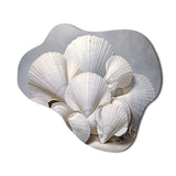 Monochromatic White Seashells - Asymmetric Metal Wall Art